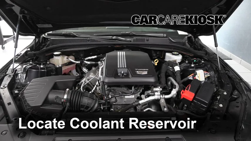 2020 Cadillac CT5 Premium Luxury 2.0L 4 Cyl. Turbo Coolant (Antifreeze)